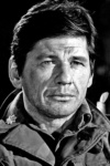 Slika glumca Charles Bronson