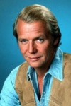 Slika glumca David Soul