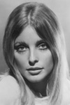 Slika glumca Sharon Tate