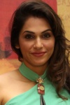 Slika glumca Isha Koppikar