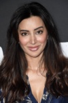 Slika glumca Noureen DeWulf