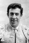 Slika glumca Manuel Capetillo