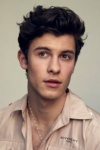 Slika glumca Shawn Mendes