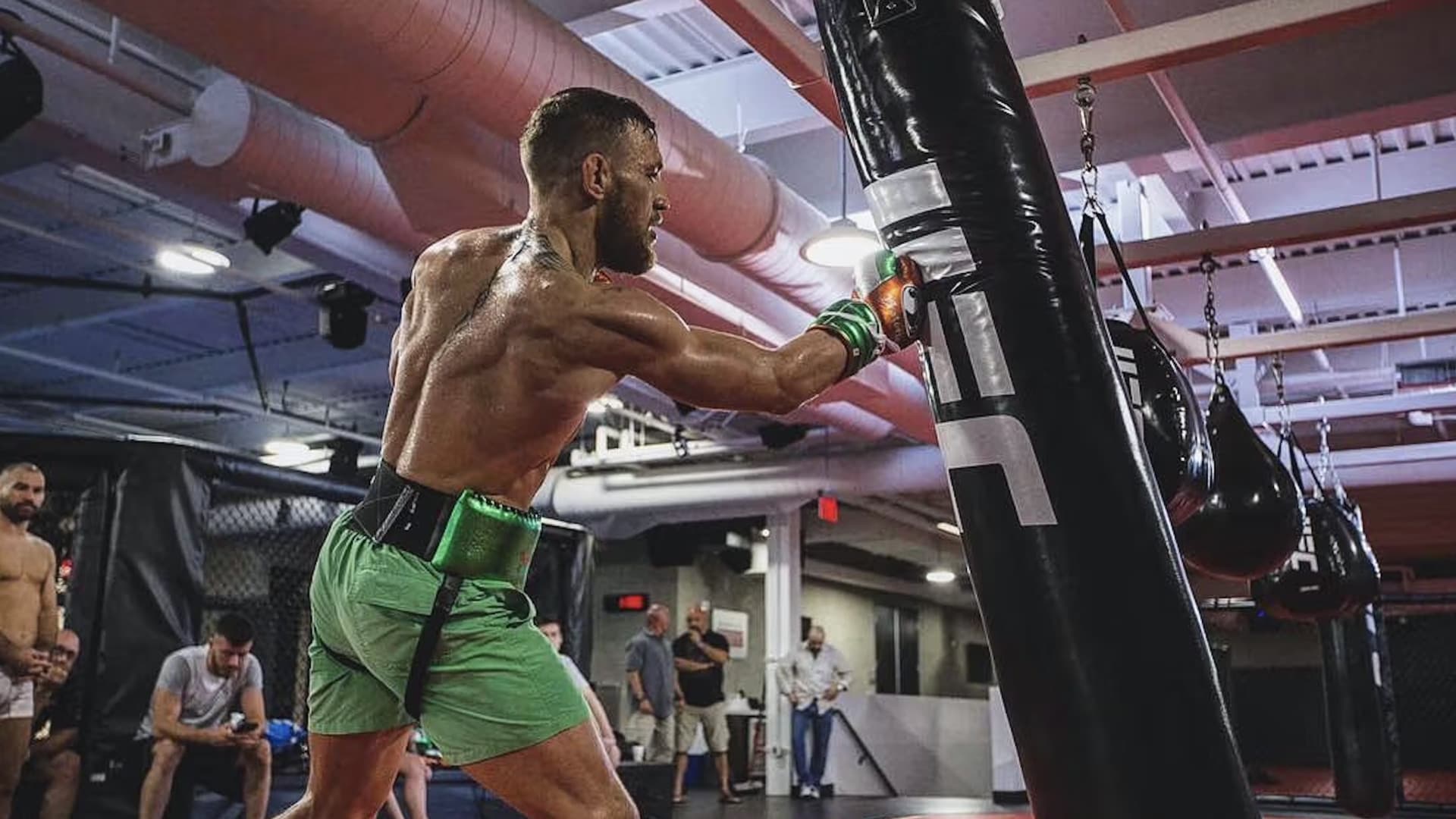 Pozadina za film Conor McGregor: Notorious