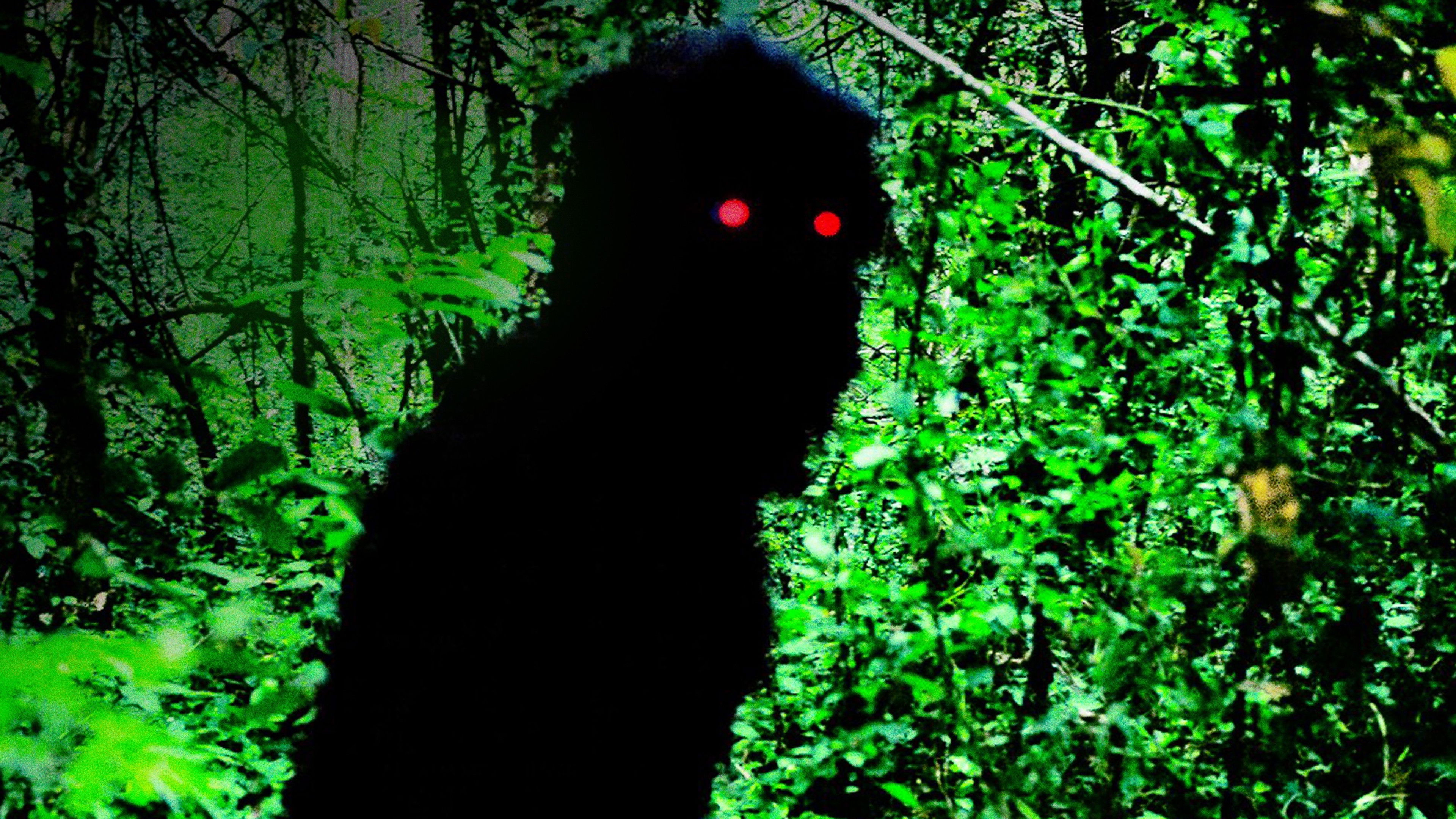 Pozadina za film Uncle Boonmee Who Can Recall His Past Lives
