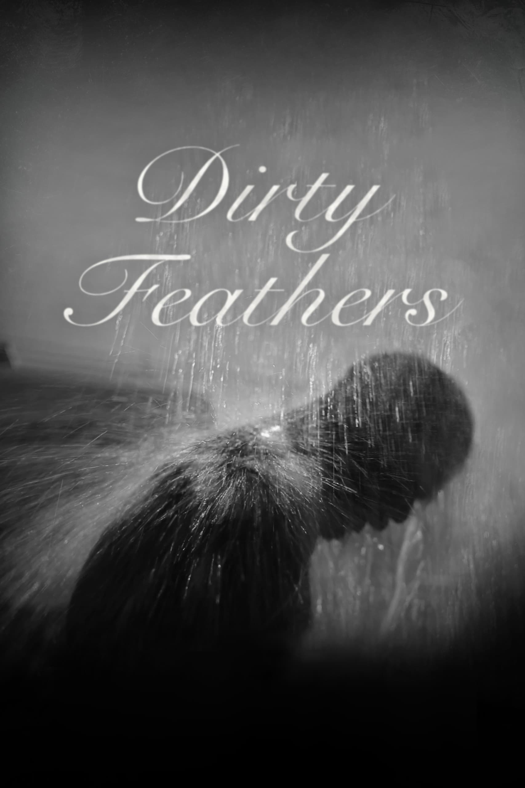 Poster za film Dirty Feathers
