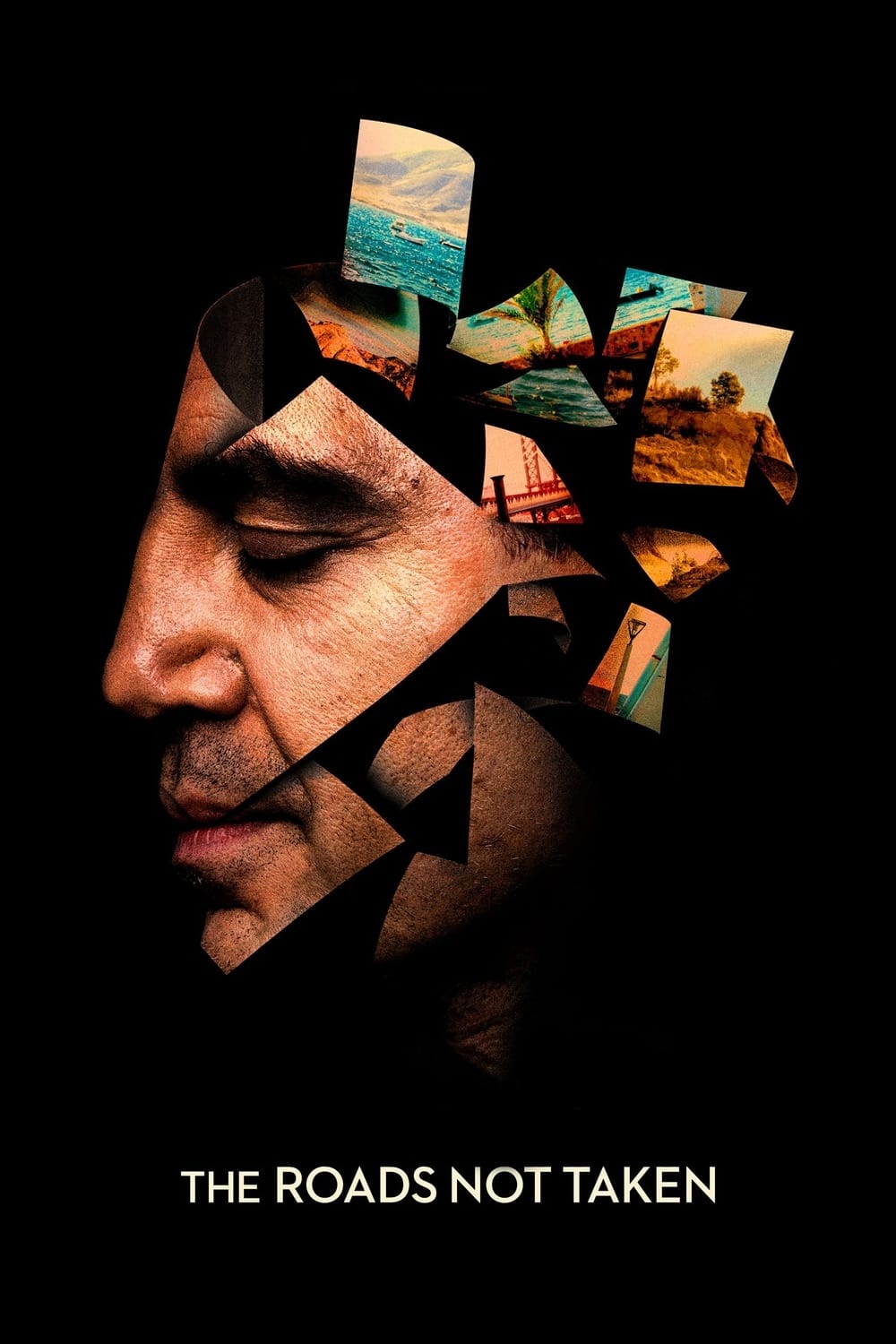 Poster za film The Roads Not Taken