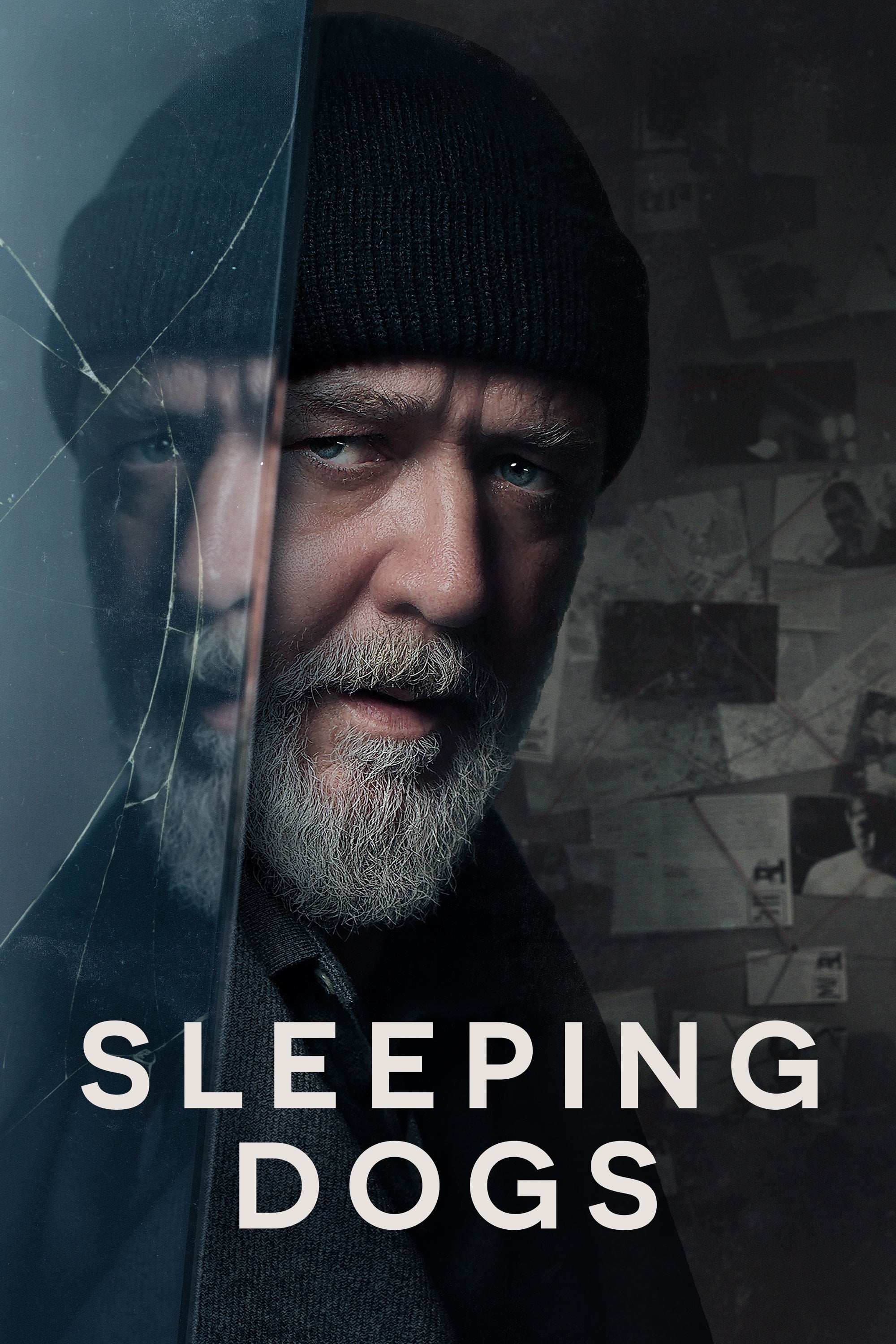 Poster za film Sleeping Dogs
