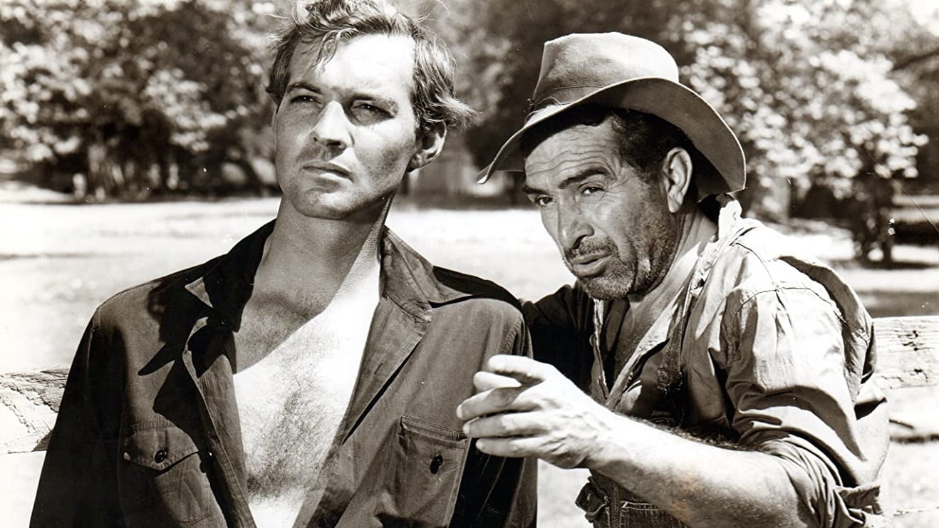 Pozadina za film The Southerner