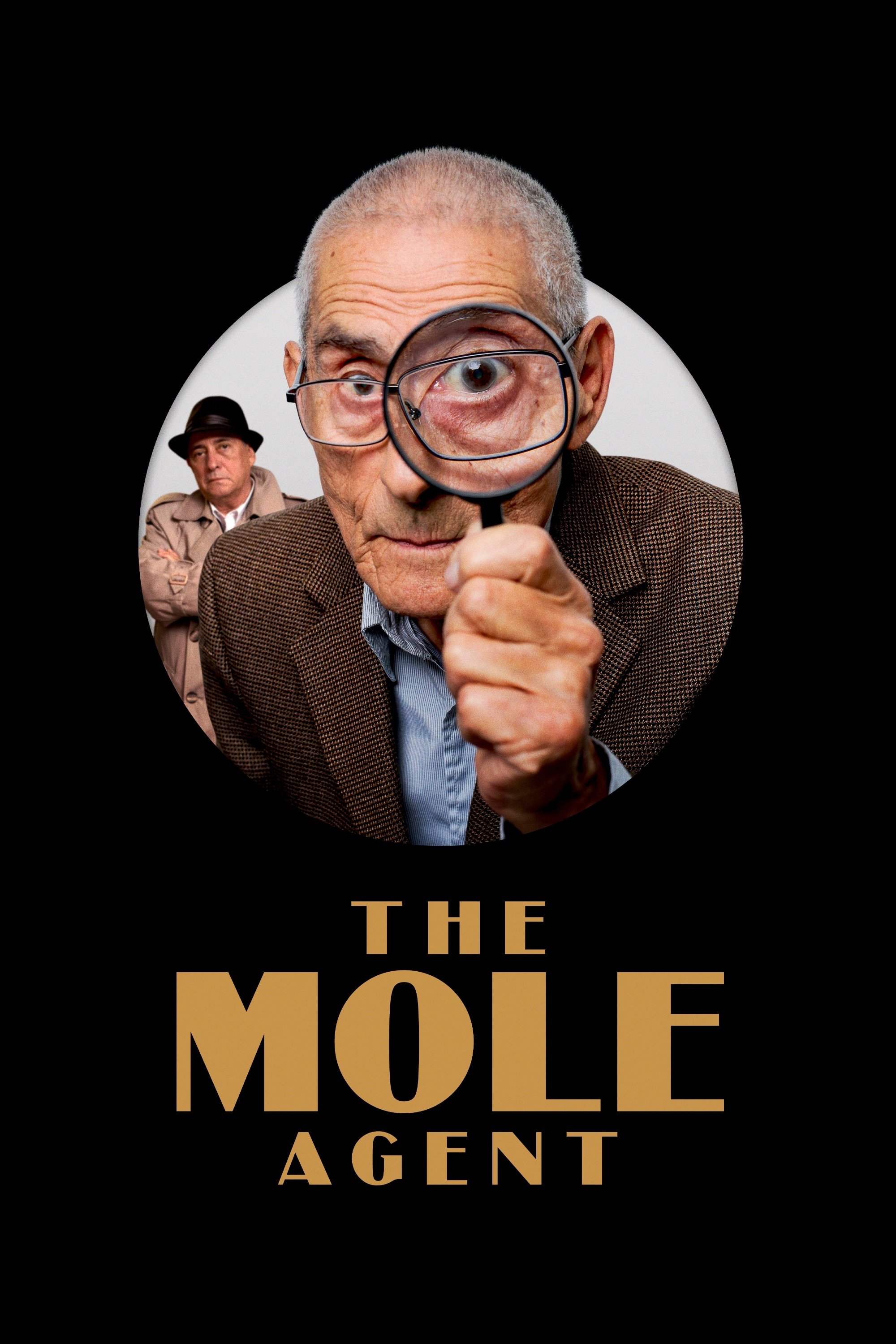 Poster za film The Mole Agent