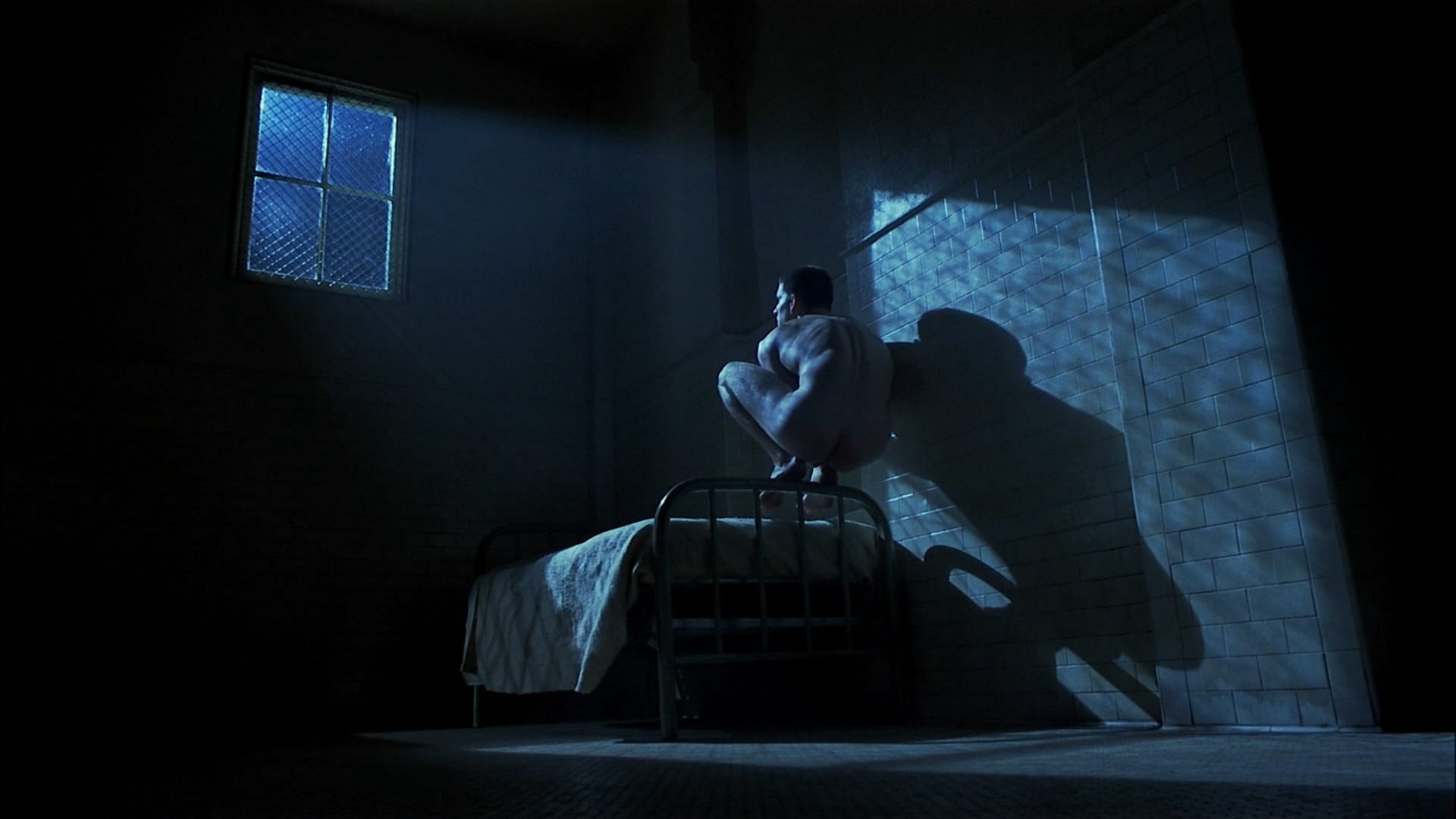 Pozadina za film Birdy