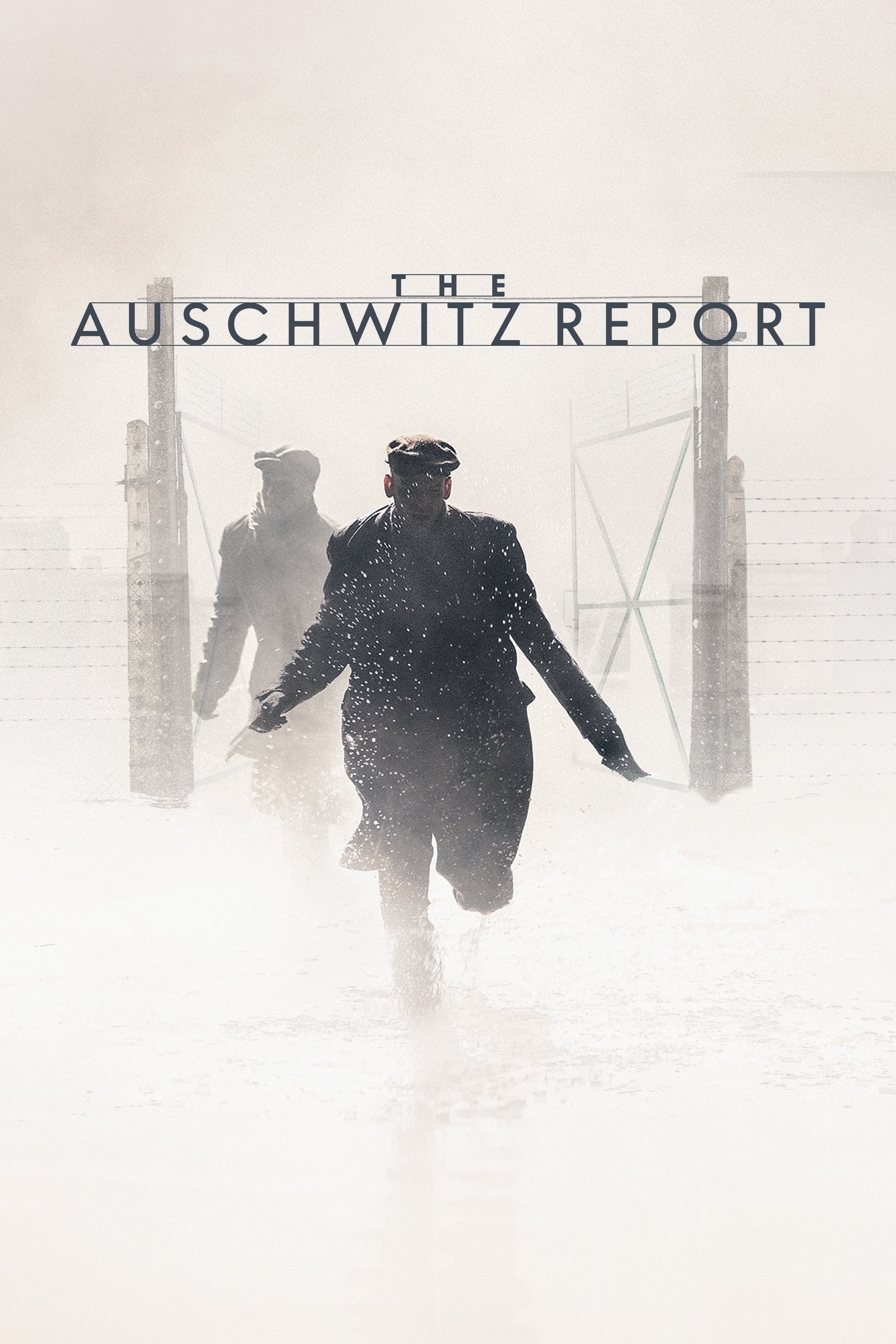 Poster za film The Auschwitz Report