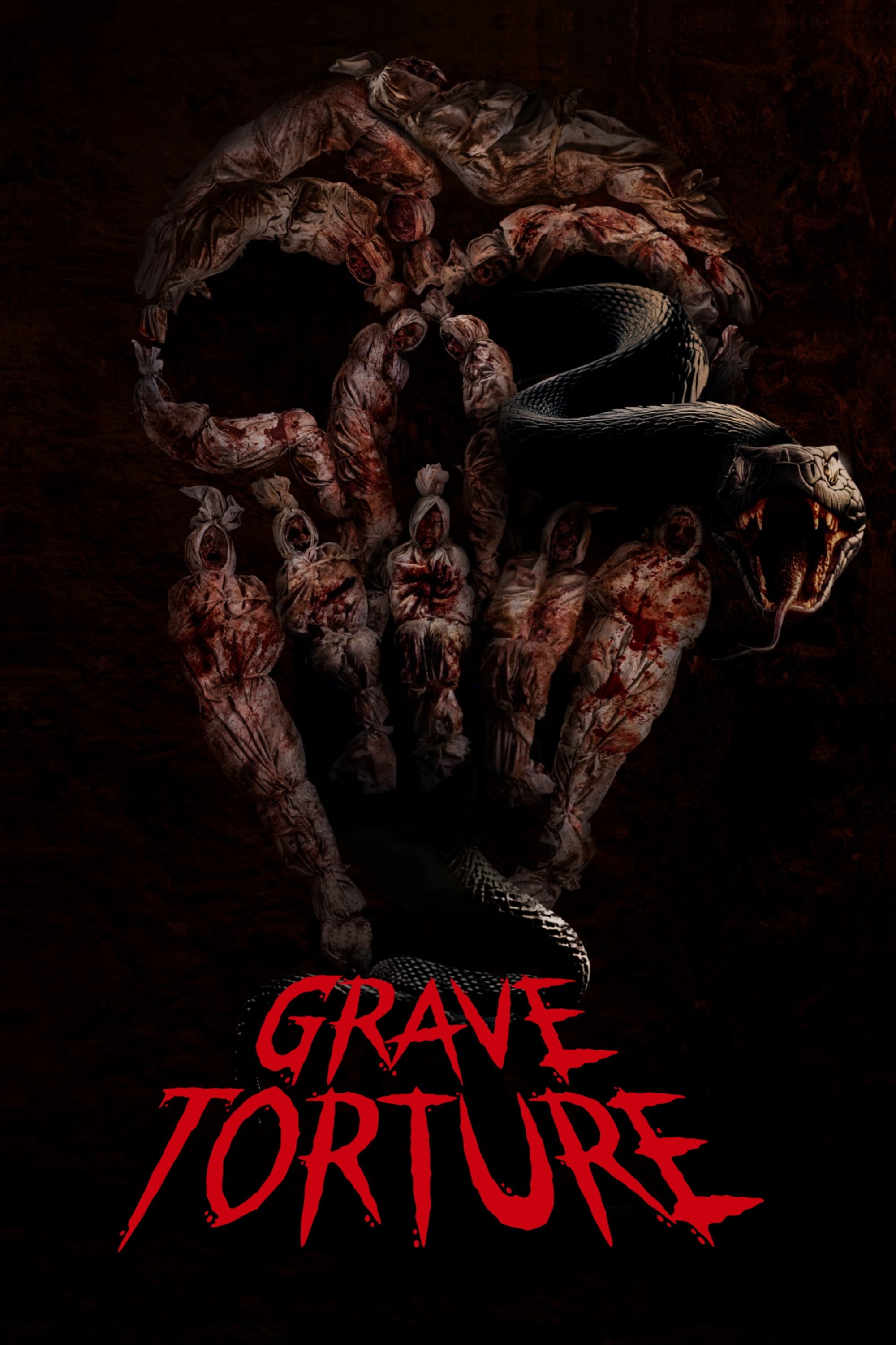 Poster za film Grave Torture