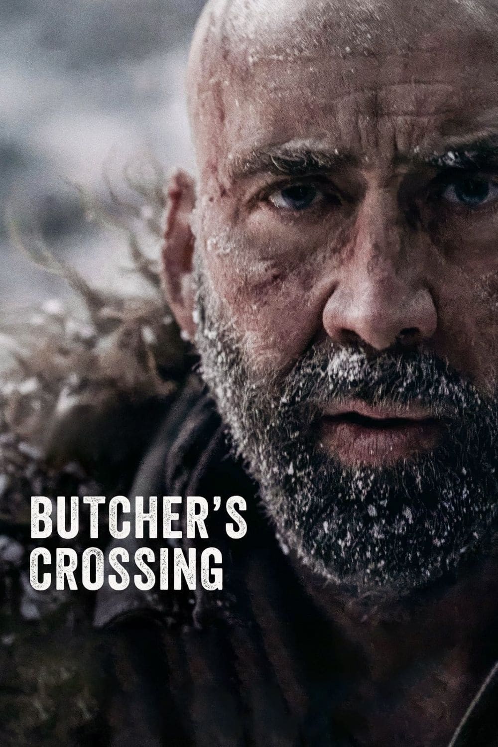 Poster za film Butcher's Crossing