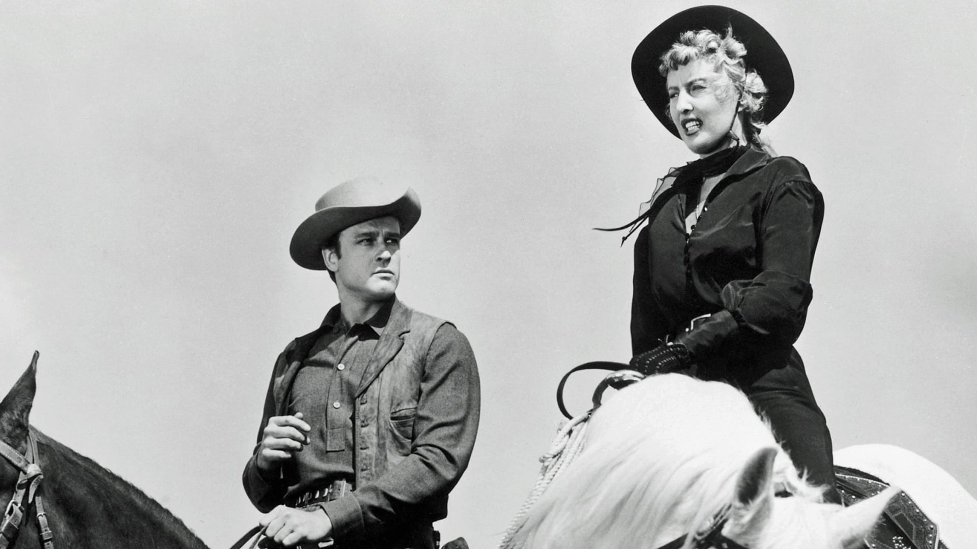 Pozadina za film Forty Guns