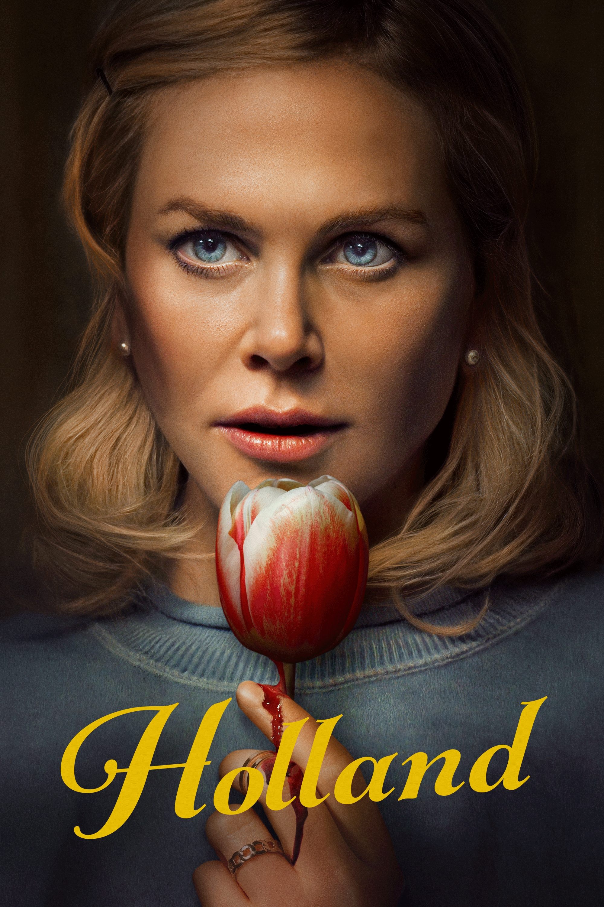 Poster za film Holland
