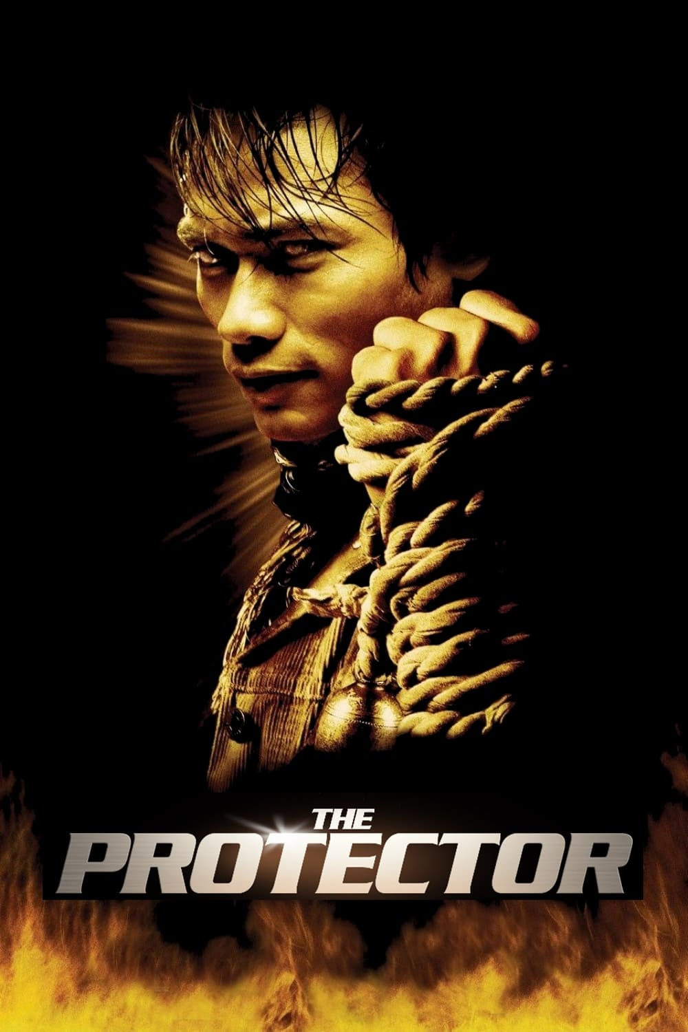 Poster za film The Protector