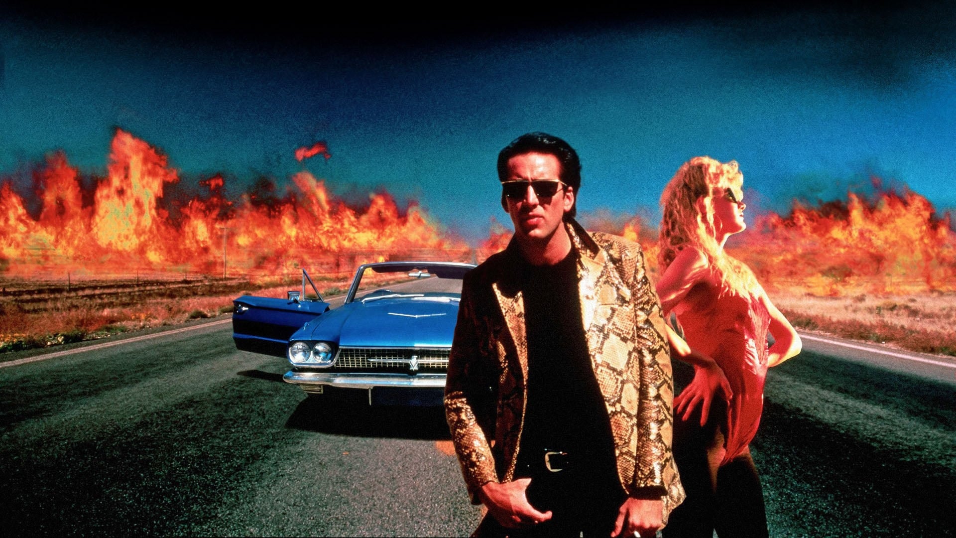 Pozadina za film Wild at Heart