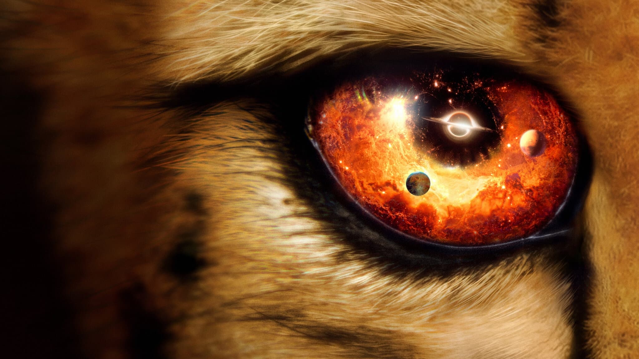 Pozadina za film Our Universe