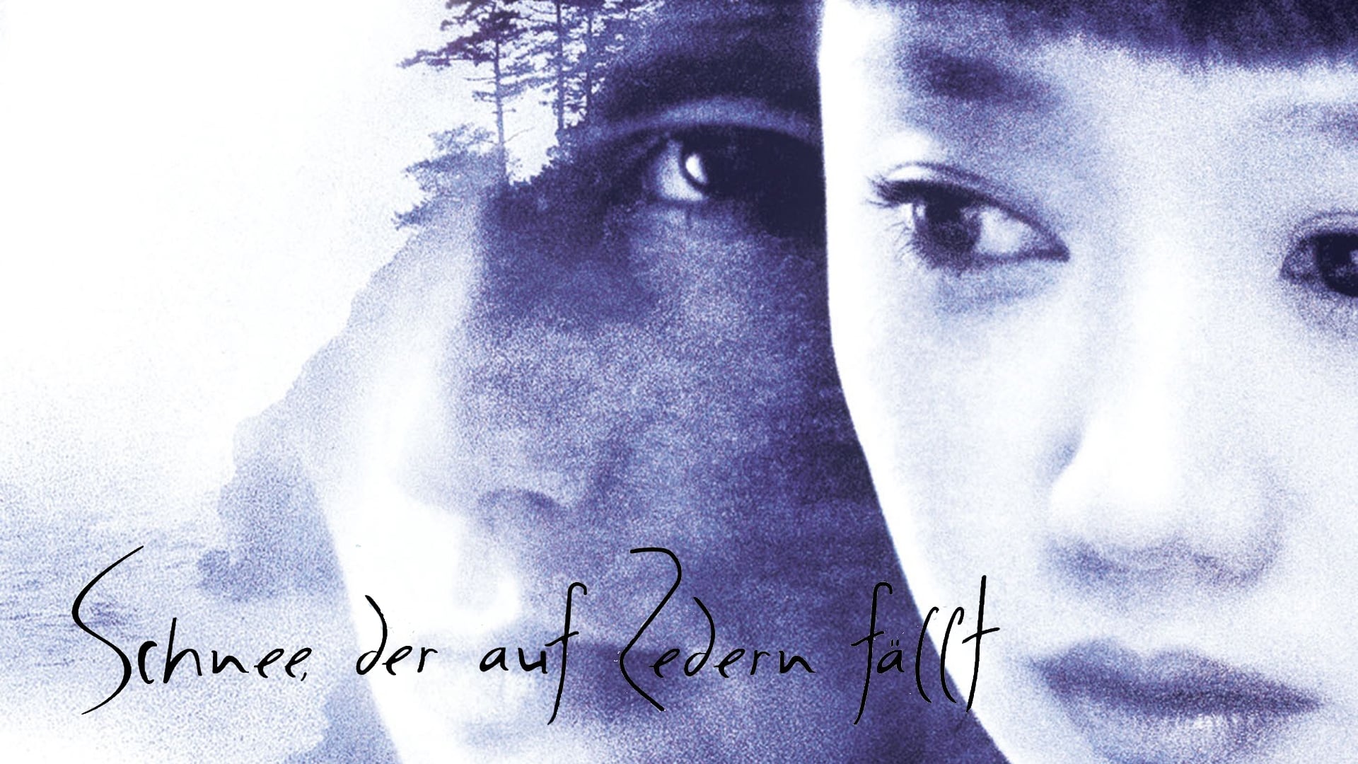 Pozadina za film Snow Falling on Cedars