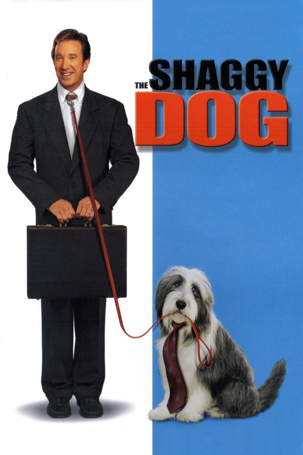 Poster za film The Shaggy Dog