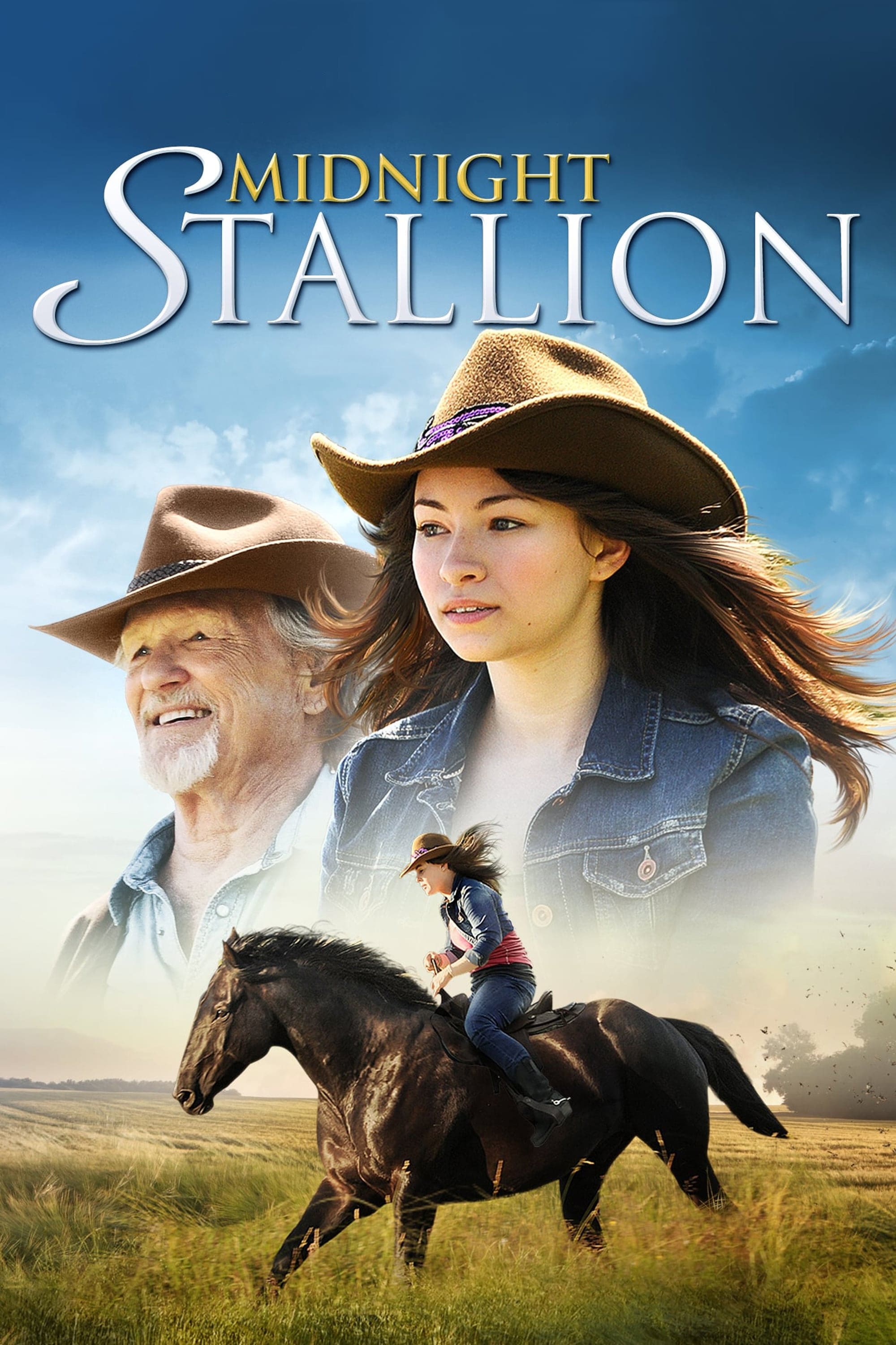 Poster za film Midnight Stallion