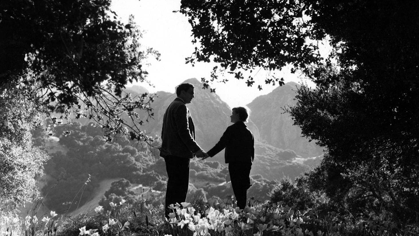 Pozadina za film How Green Was My Valley