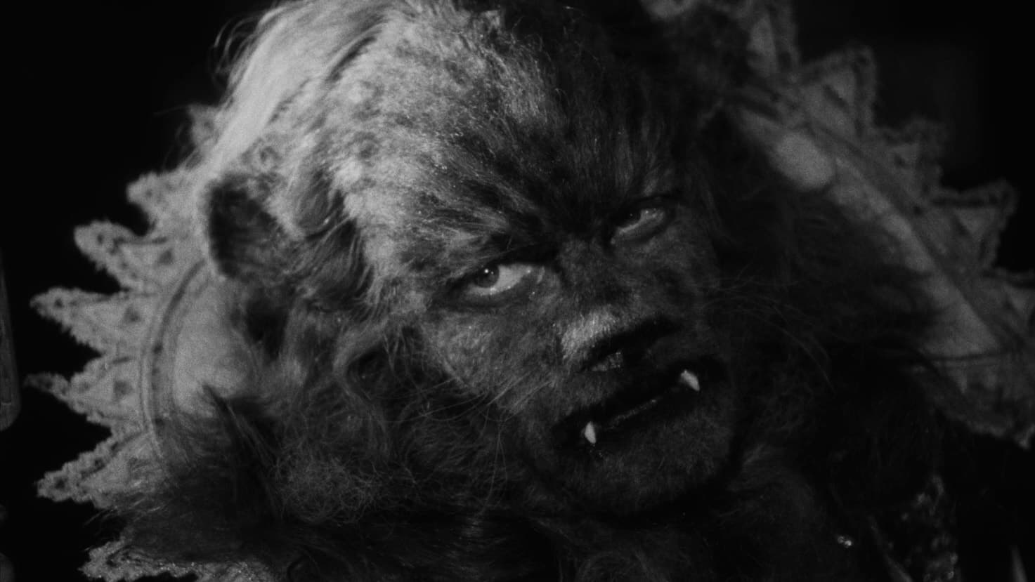 Pozadina za film Beauty and the Beast