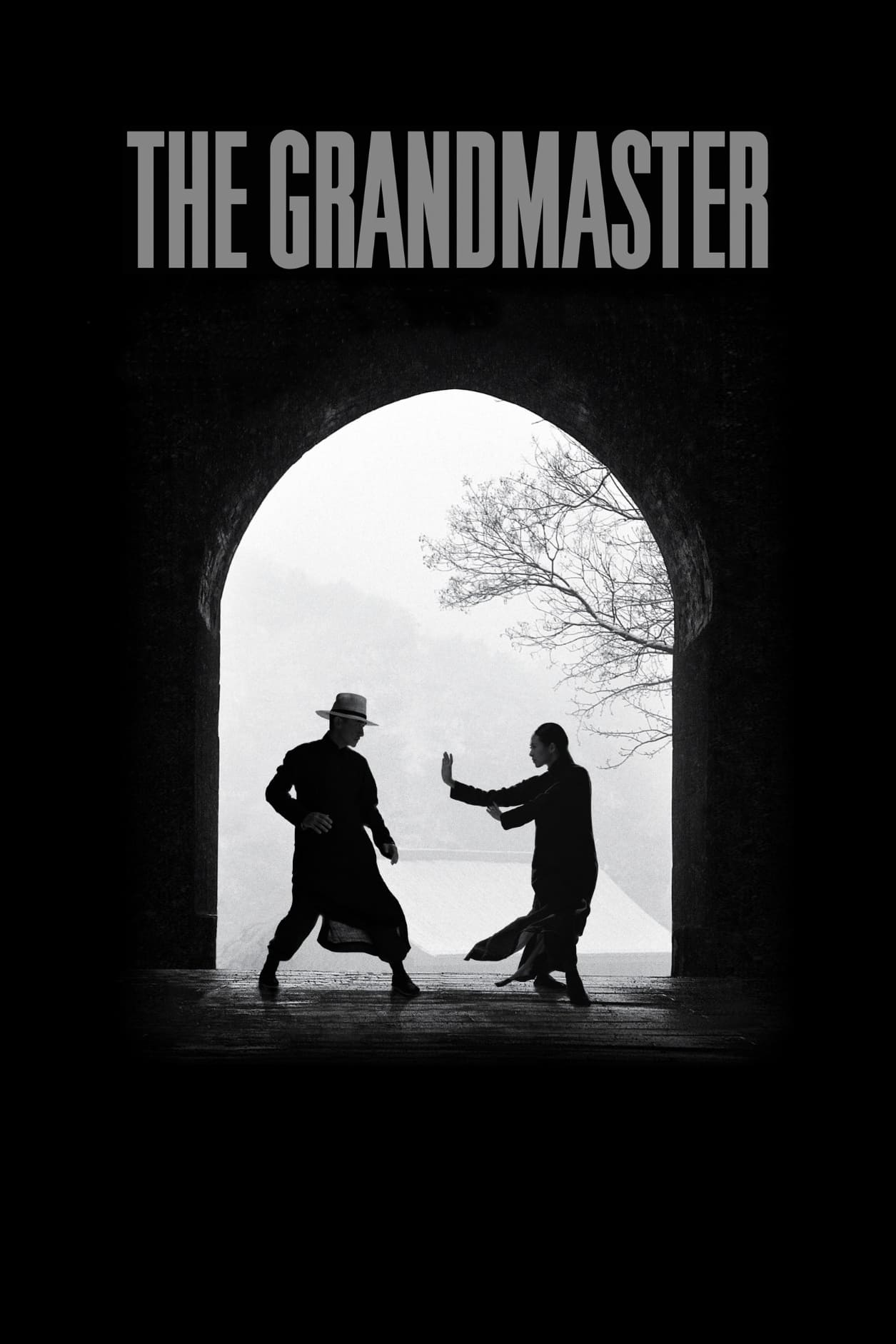 Poster za film The Grandmaster