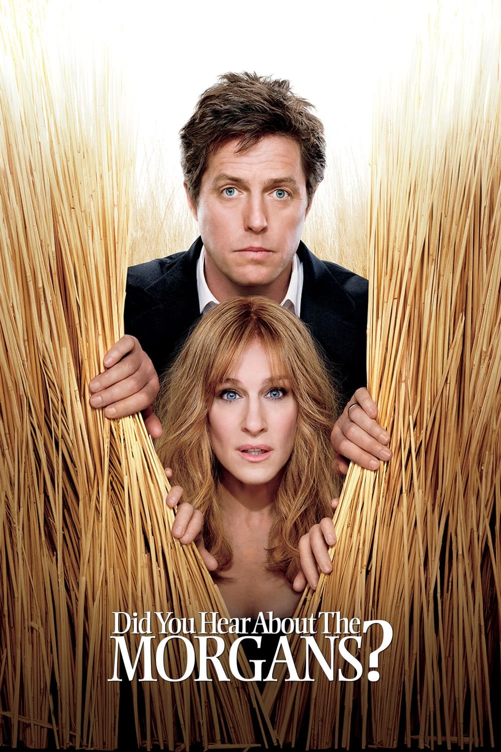Poster za film Did You Hear About the Morgans?