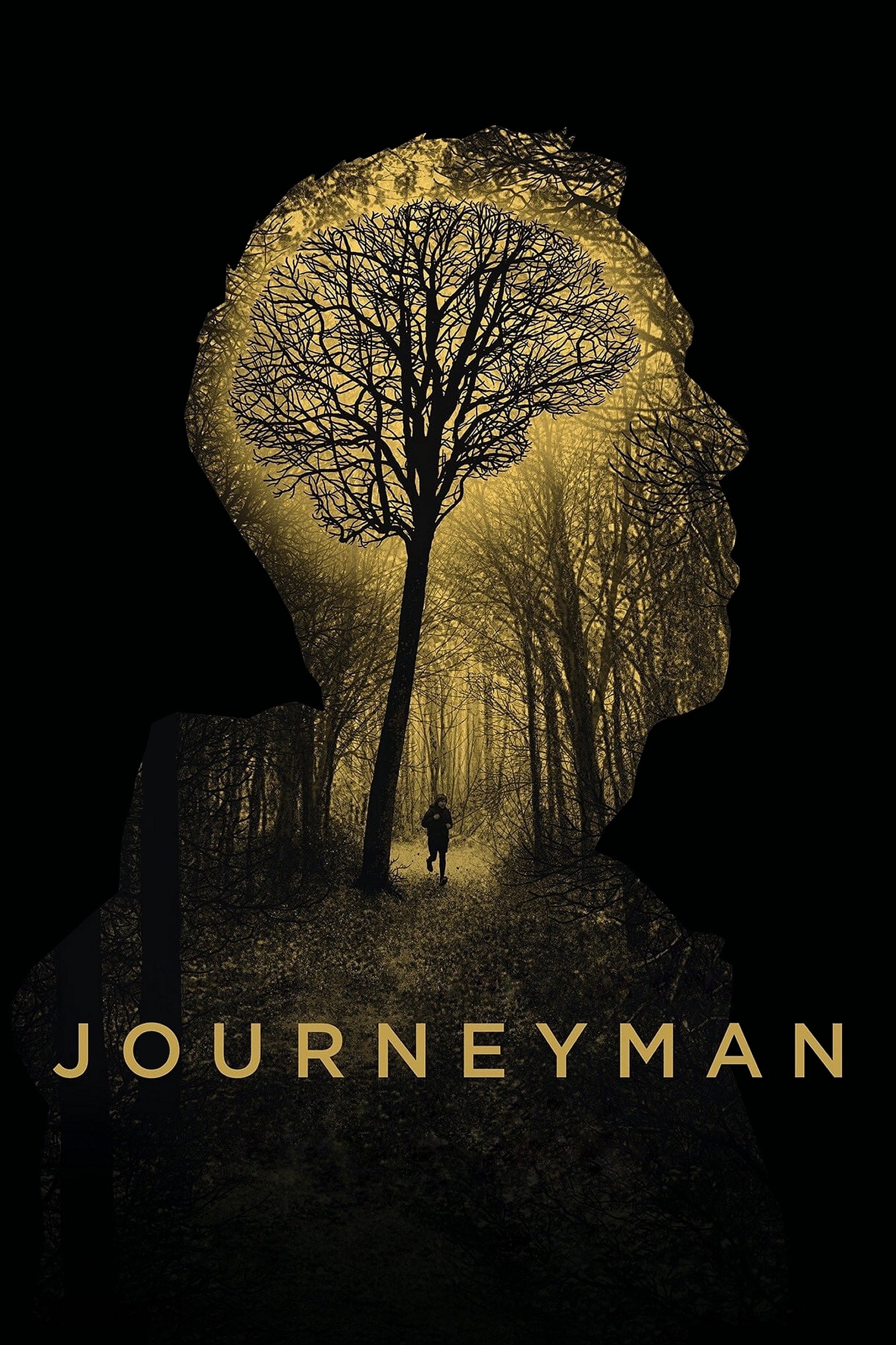 Poster za film Journeyman