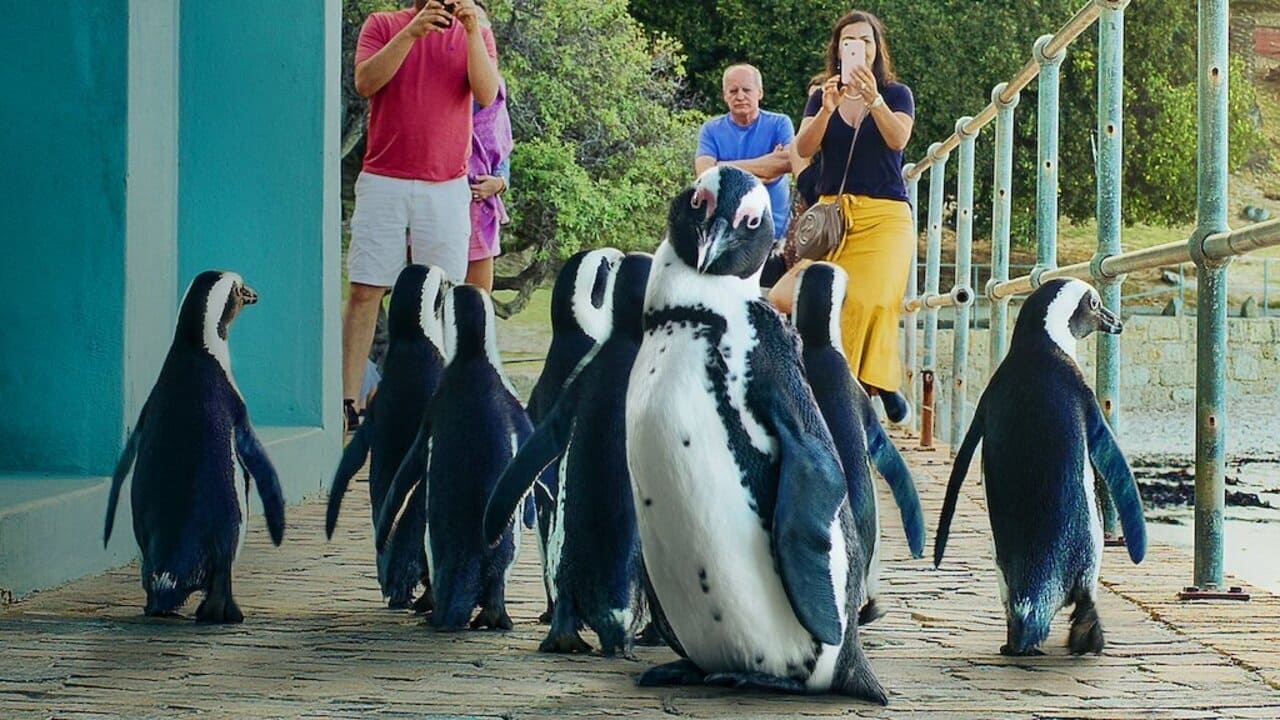 Pozadina za film Penguin Town