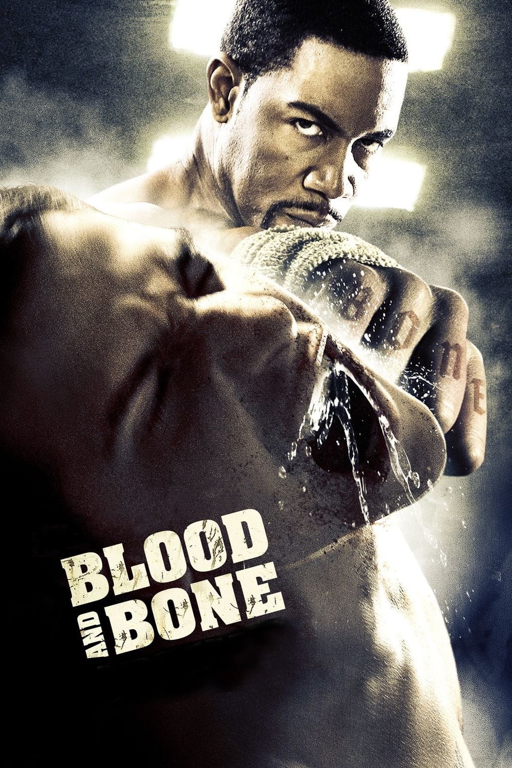 Poster za film Blood and Bone
