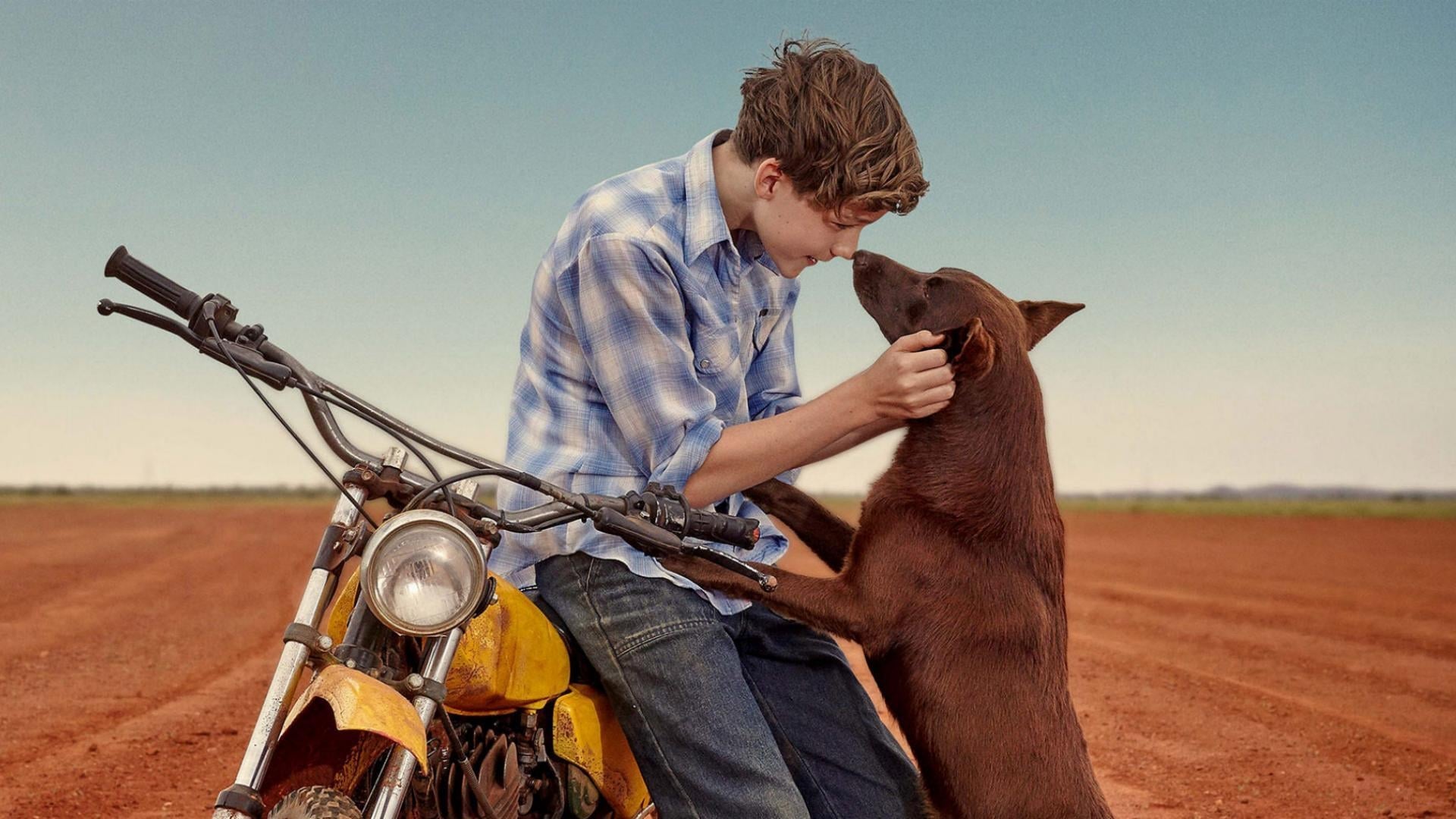 Pozadina za film Red Dog: True Blue