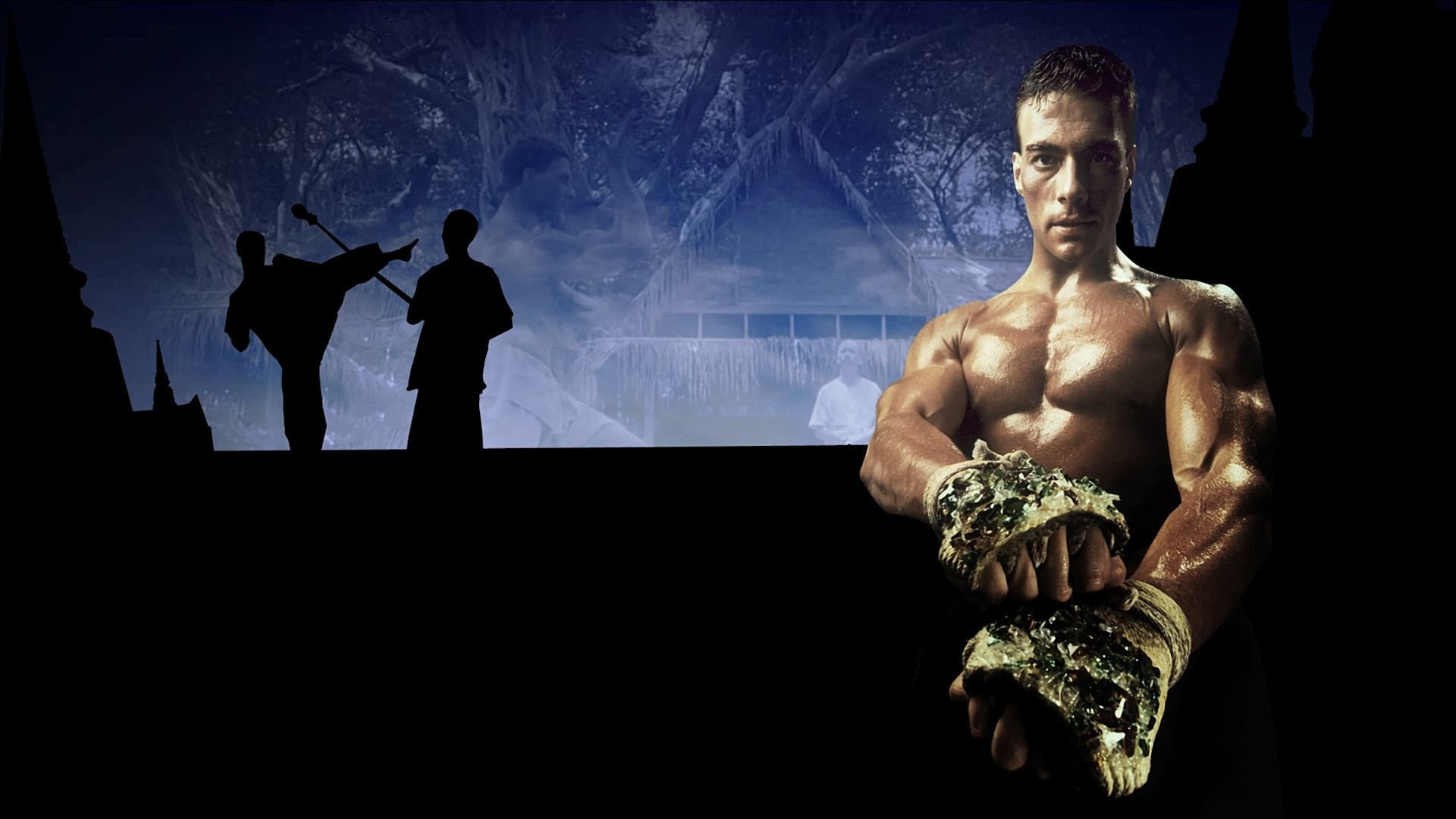 Pozadina za film Kickboxer
