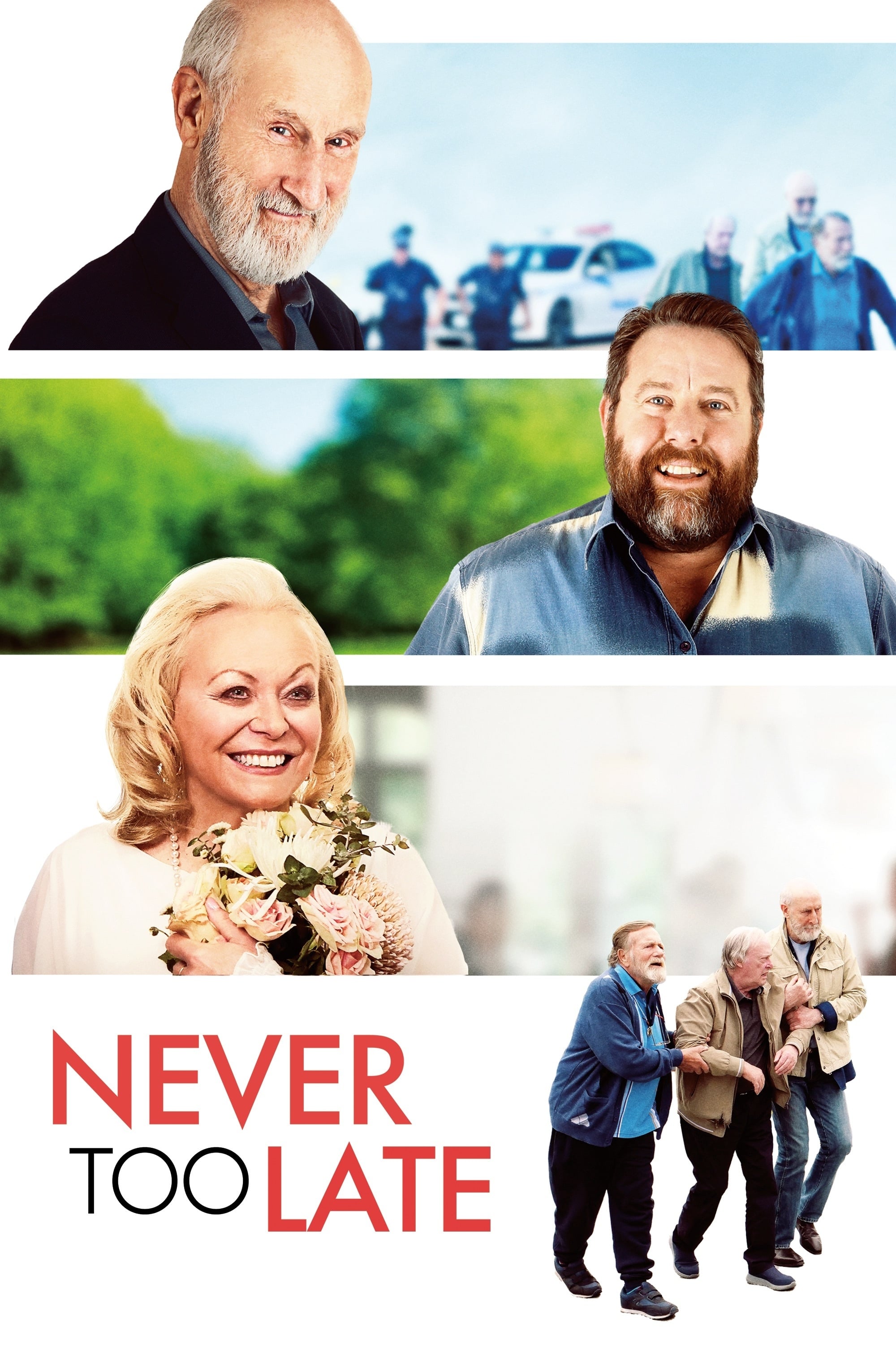 Poster za film Never Too Late