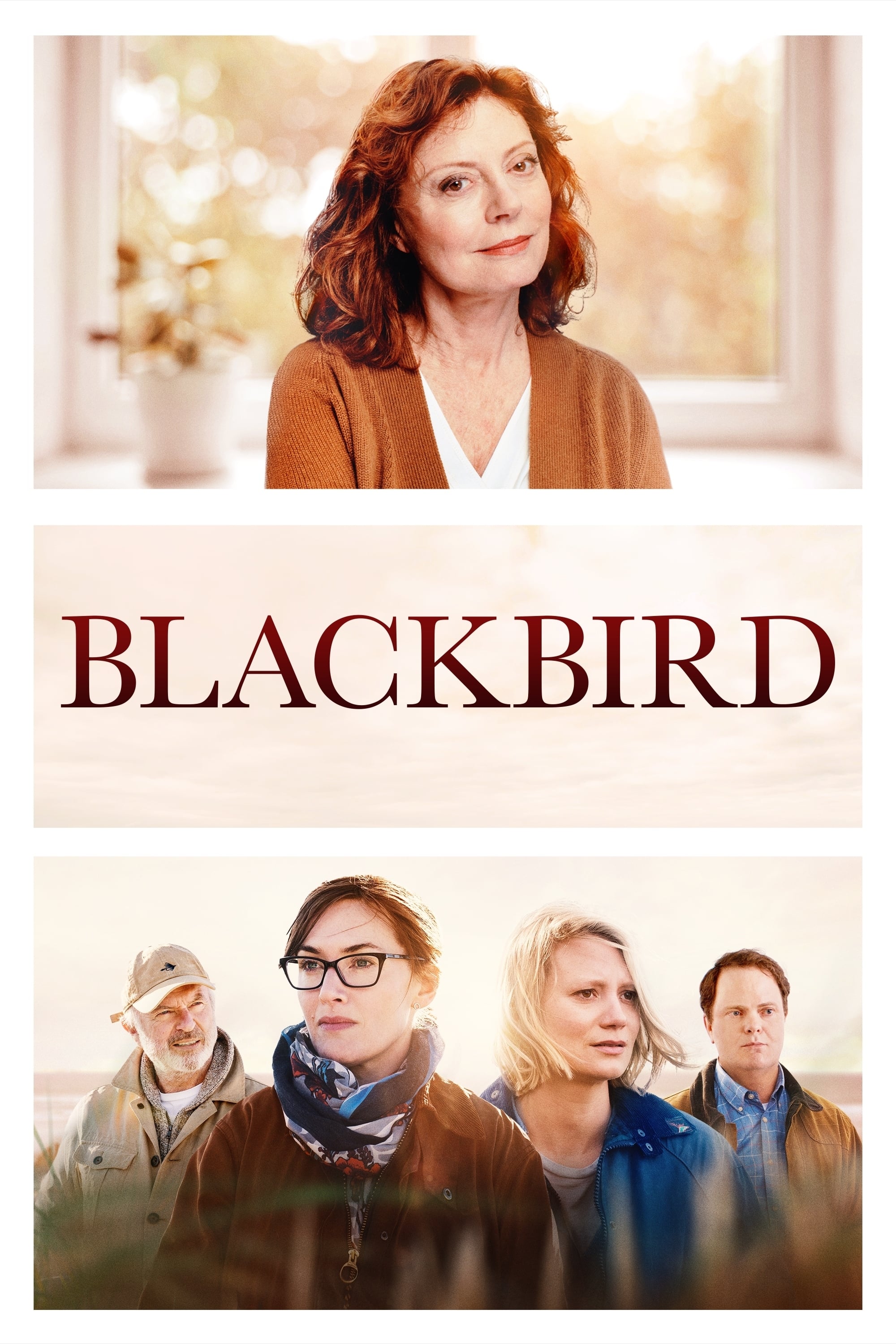 Poster za film Blackbird