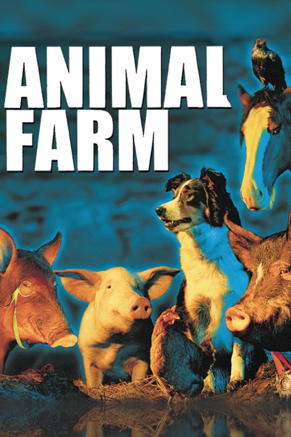 Poster za film Animal Farm