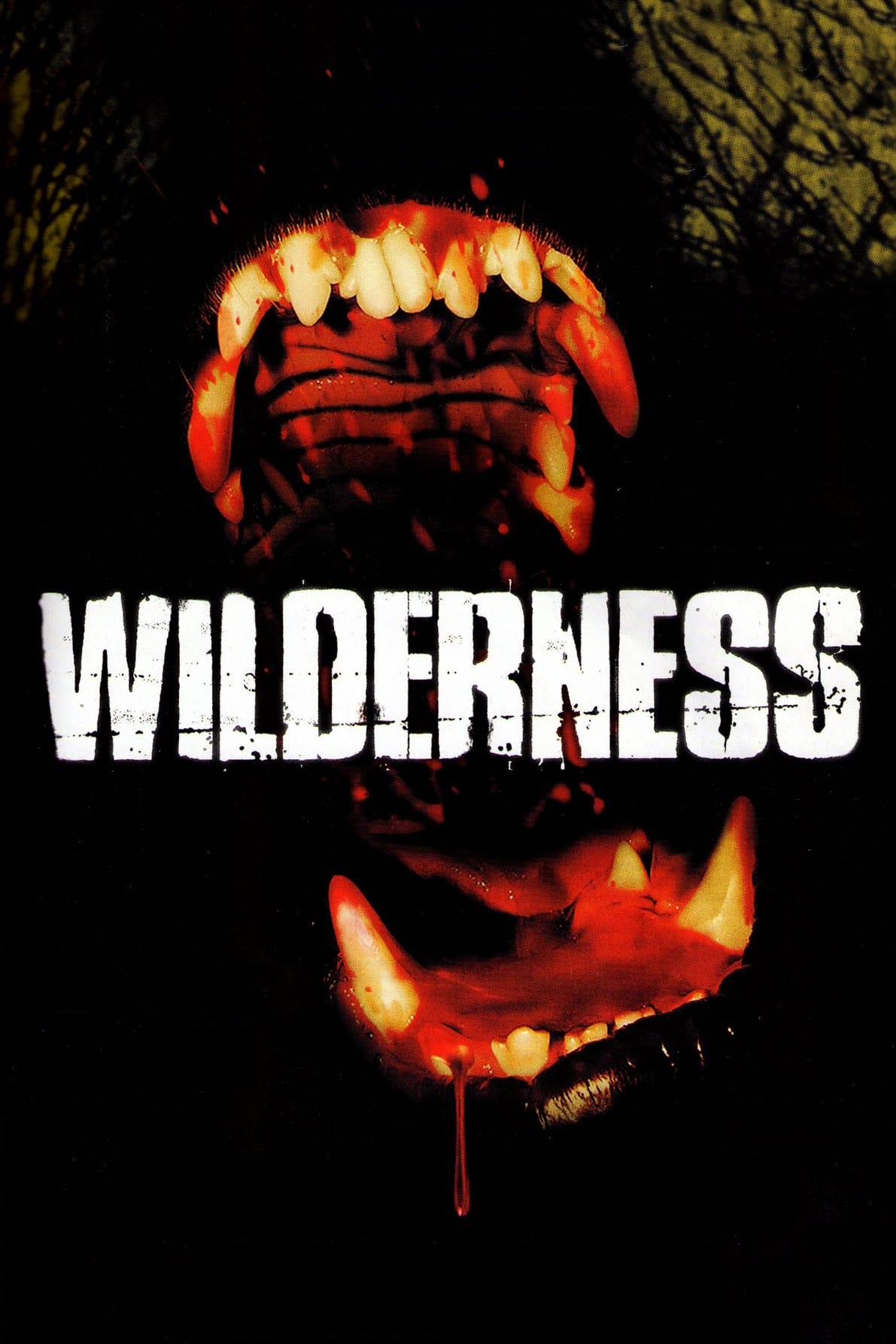 Poster za film Wilderness