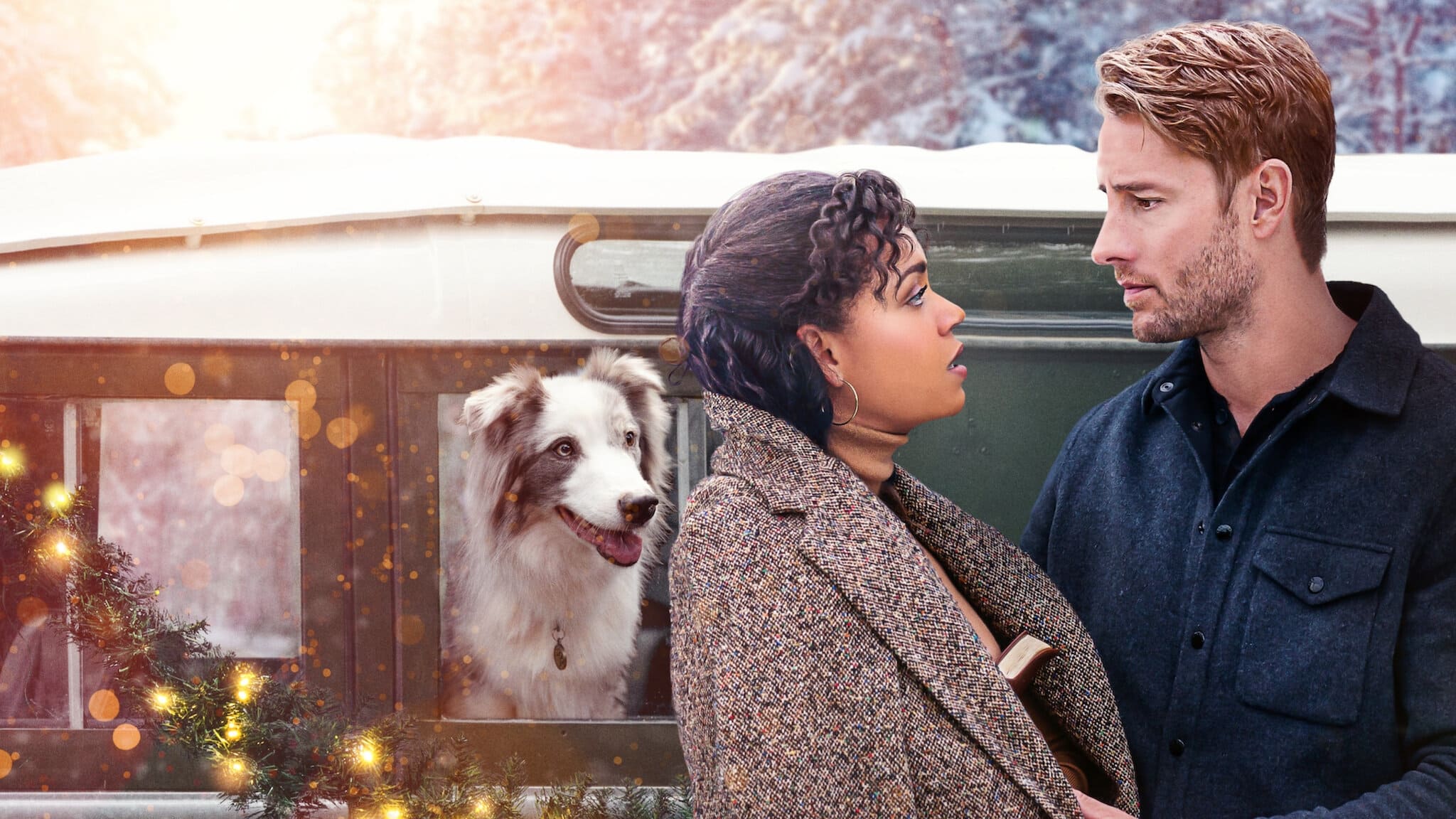 Pozadina za film The Noel Diary