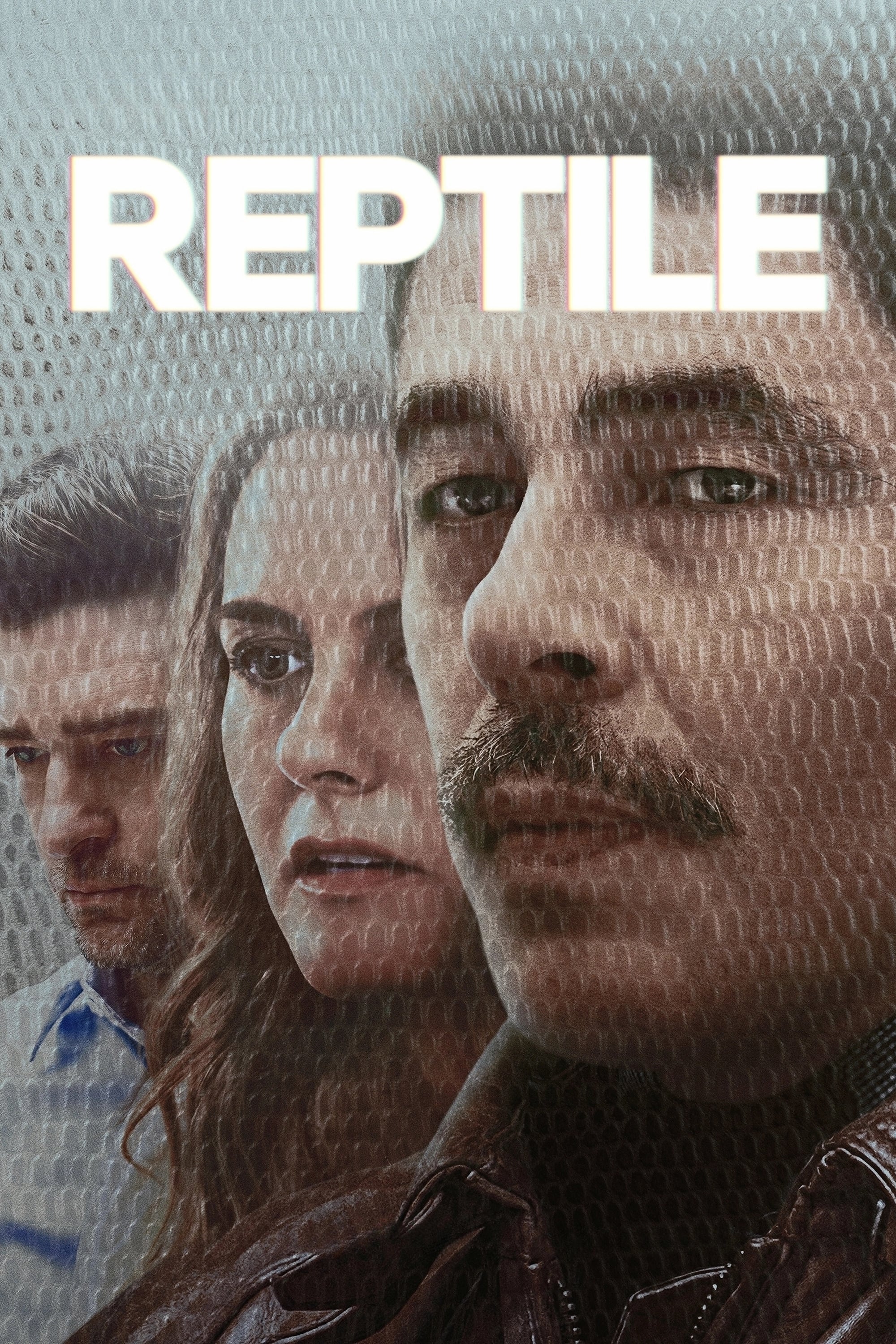 Poster za film Reptile