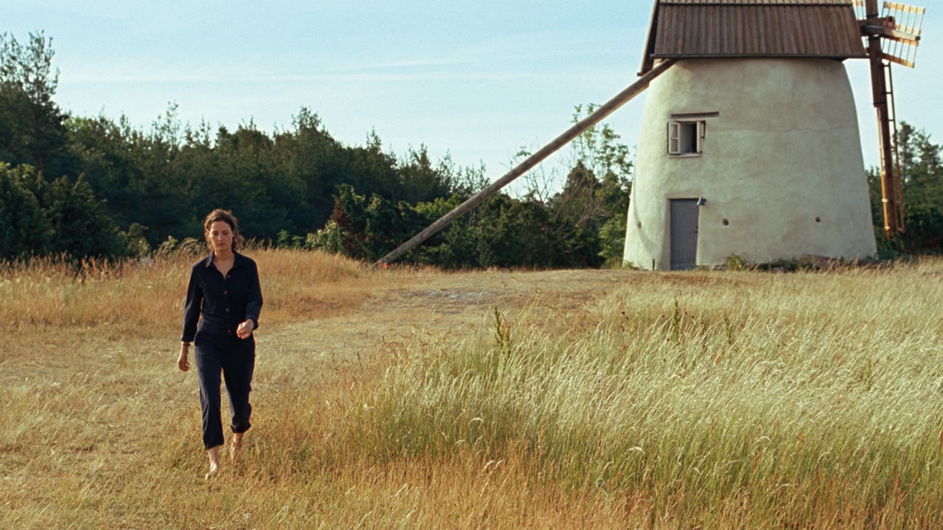 Pozadina za film Bergman Island
