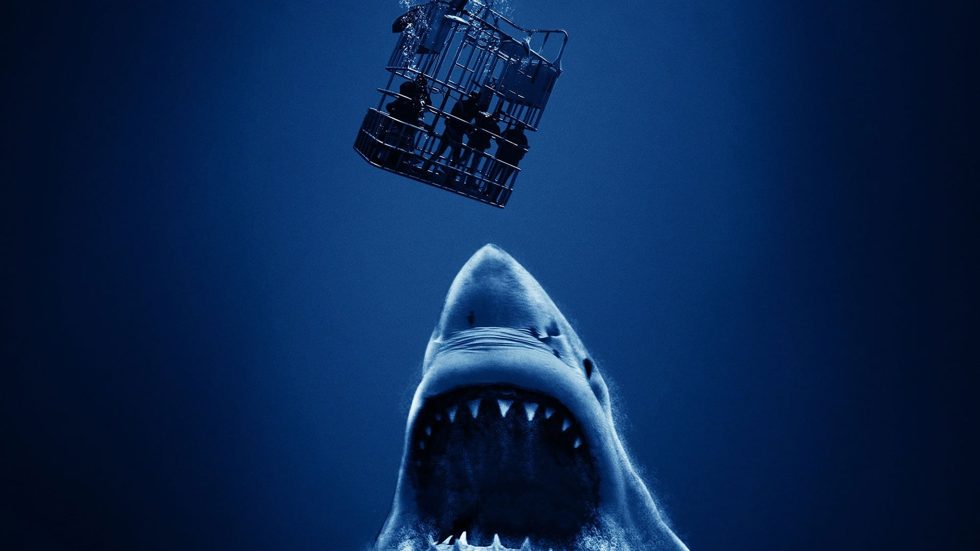 Pozadina za film Cage Dive