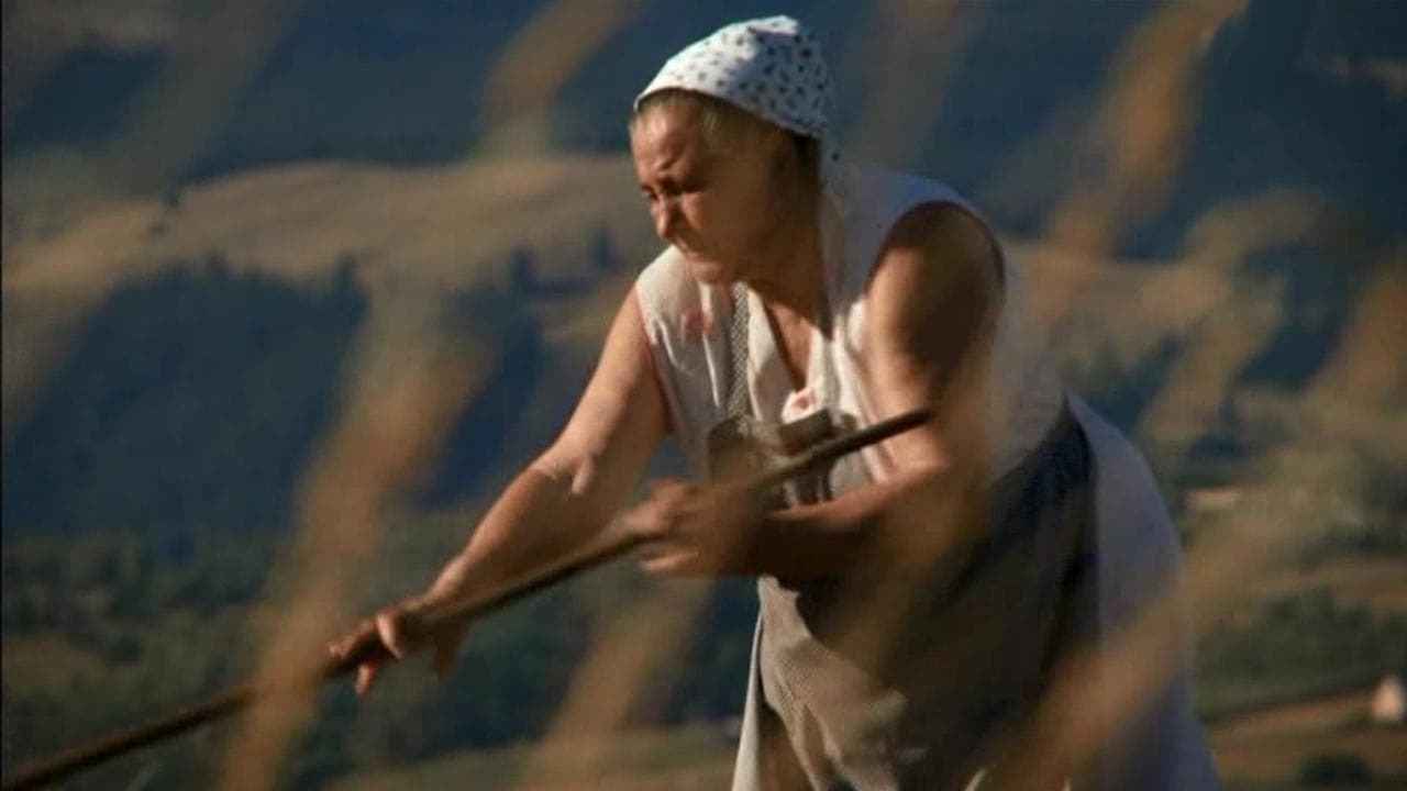 Pozadina za film Stream of Love