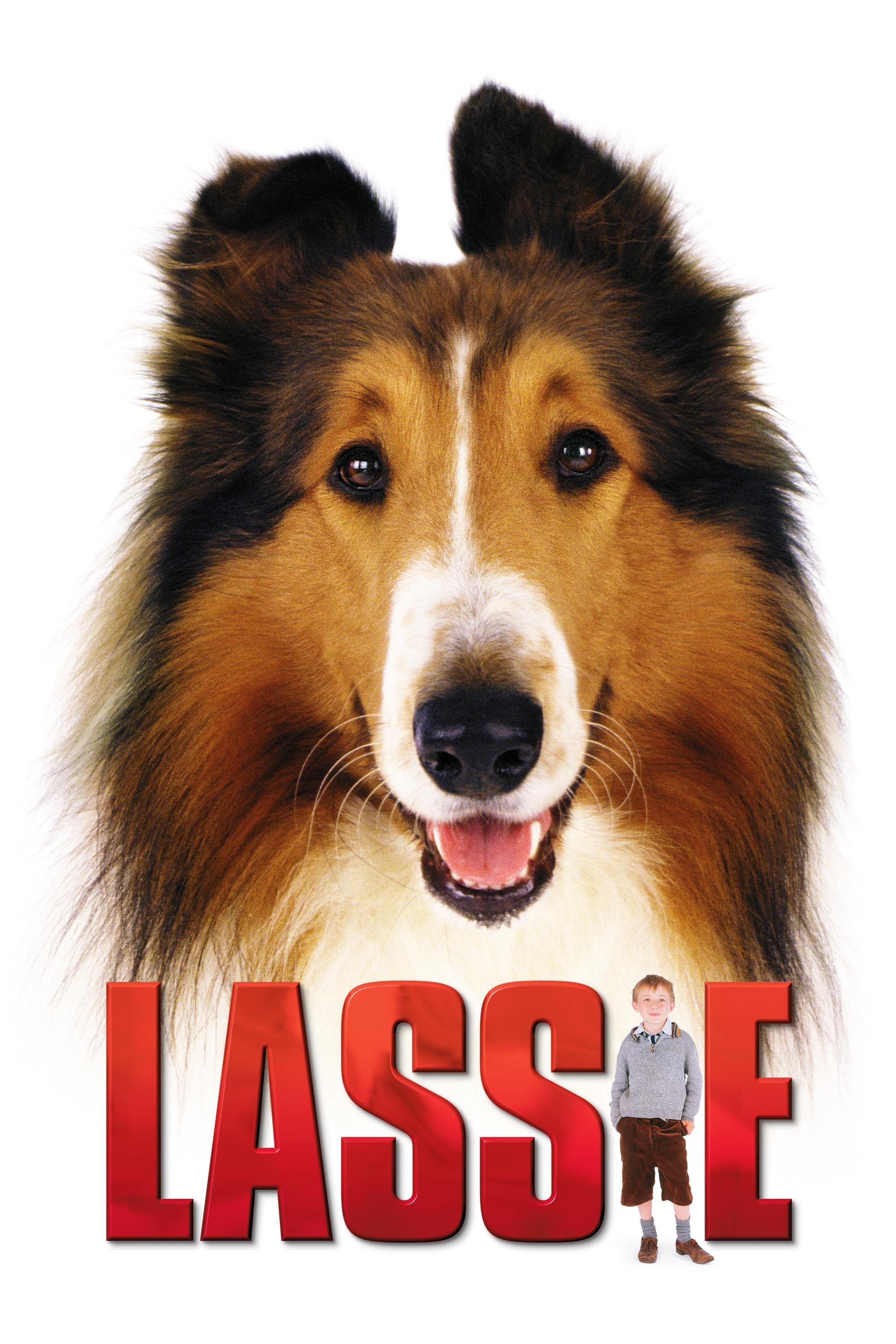 Poster za film Lassie